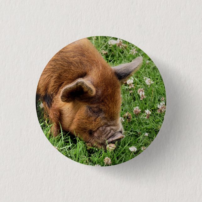 CUTE PIG  3 CM ROUND BADGE (Front)