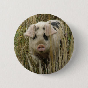 Cute Pig Button
