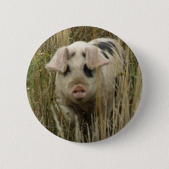 Cute Pig Button (Front)
