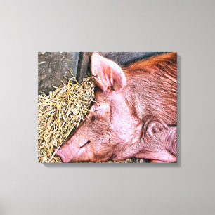 CUTE PIG CANVAS PRINT