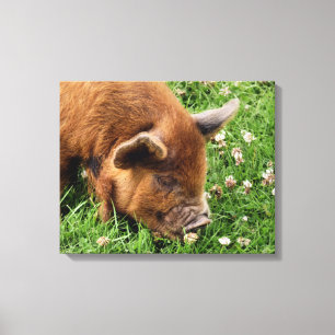 CUTE PIG   CANVAS PRINT