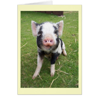 Cute Pig Card