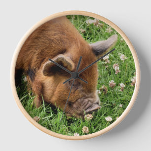 CUTE PIG   CLOCK