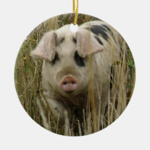 Cute Pig Custom Birthday Ceramic Tree Decoration