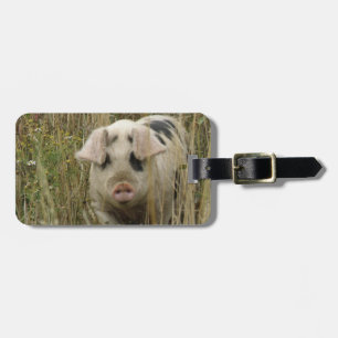 Cute Pig Custom Luggage Tag
