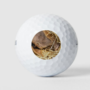 CUTE PIG GOLF BALLS