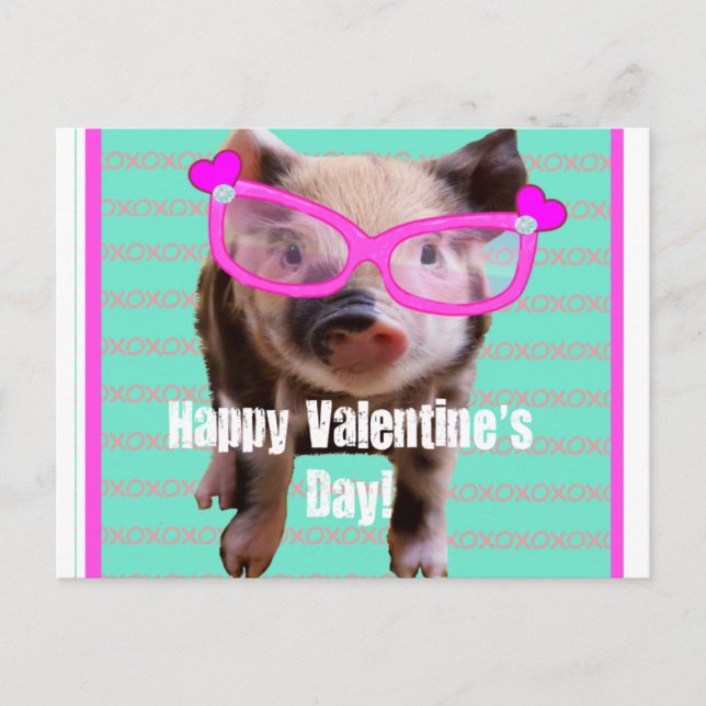 Cute Pig - Happy Valentine's Day Holiday Postcard (Front)