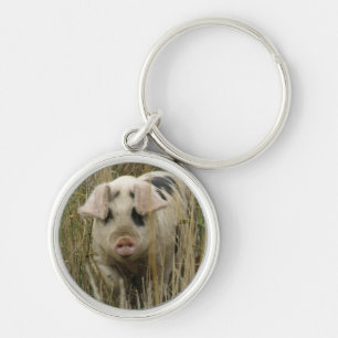Cute Pig Keychain