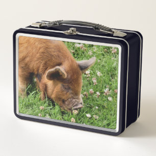 CUTE PIG METAL LUNCH BOX