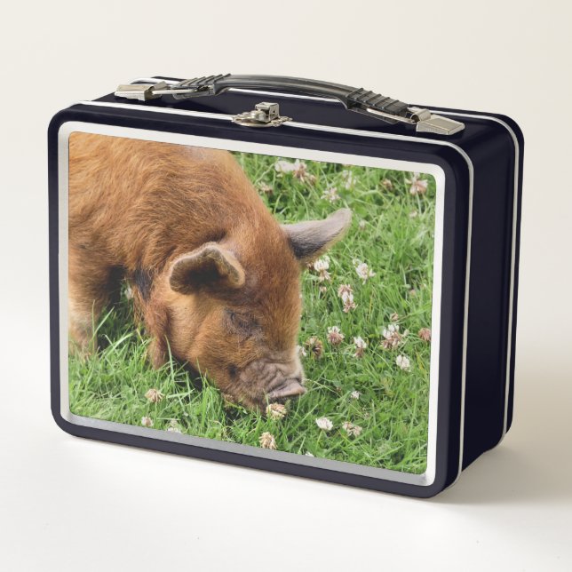 CUTE PIG    METAL LUNCH BOX (Front)