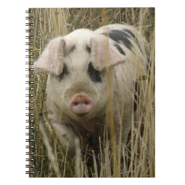 Cute Pig Notebook (Front)