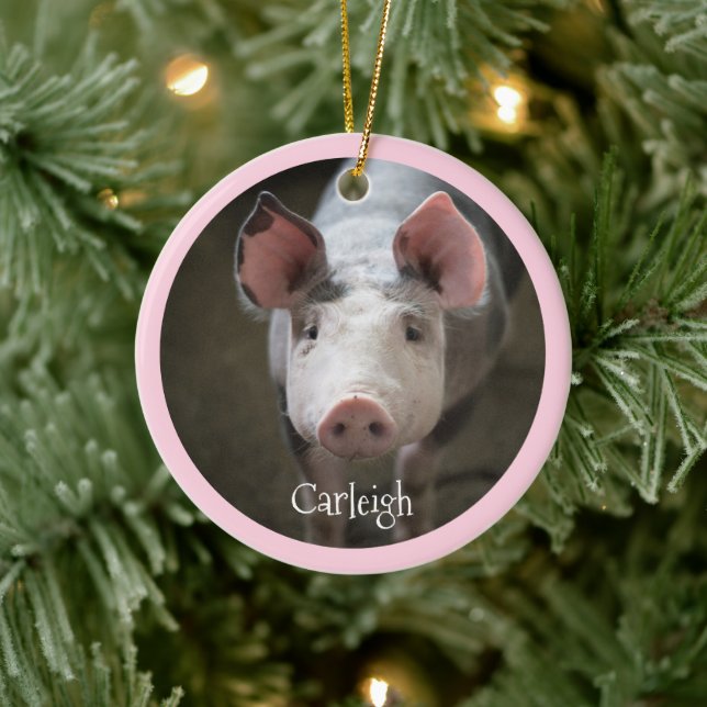 Cute Pig Personalised Ceramic Ornament (Tree)
