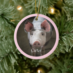 Cute Pig Personalised Ceramic Tree Decoration