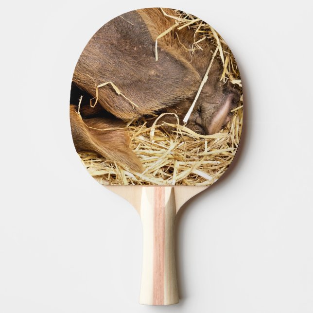 CUTE PIG PING PONG PADDLE (Front)