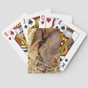 CUTE PIG PLAYING CARDS