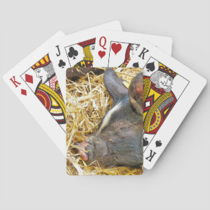 CUTE PIG PLAYING CARDS