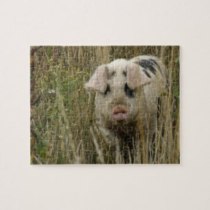 Cute Pig Puzzle