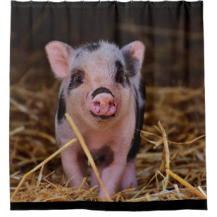 Cute Pig Shower Curtain