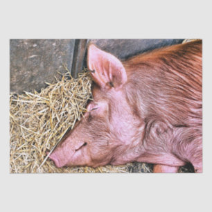 CUTE PIG TISSUE PAPER