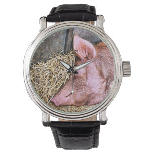 CUTE PIG WATCH