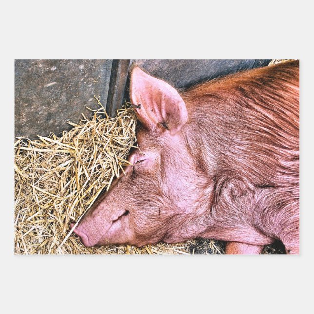 CUTE PIG WRAPPING PAPER SHEET (Front)