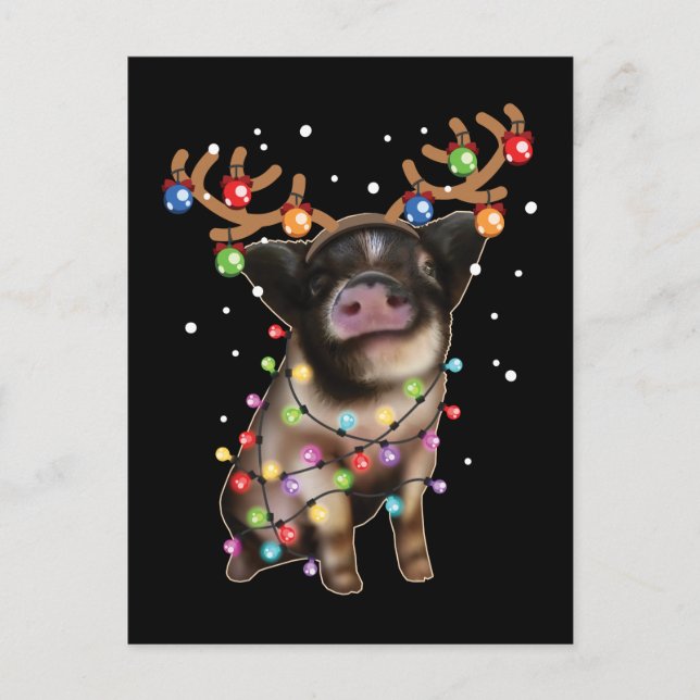 Cute Piggy, Pig Lover Funny Christmas Holiday Gift Postcard (Front)