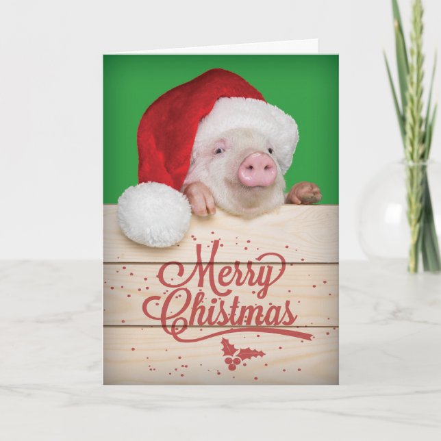 Cute Piggy Pudding Christmas Pig in Santa Hat Holiday Card (Front)