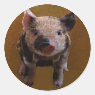 Cute piglet classic round sticker