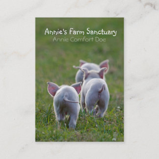 Cute Piglets Farm Sanctuary Business Card