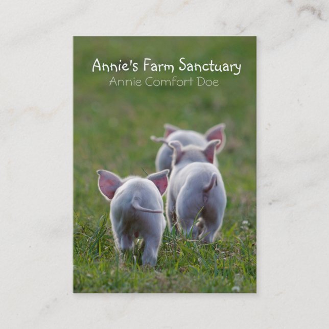 Cute Piglets Farm Sanctuary Business Card (Front)