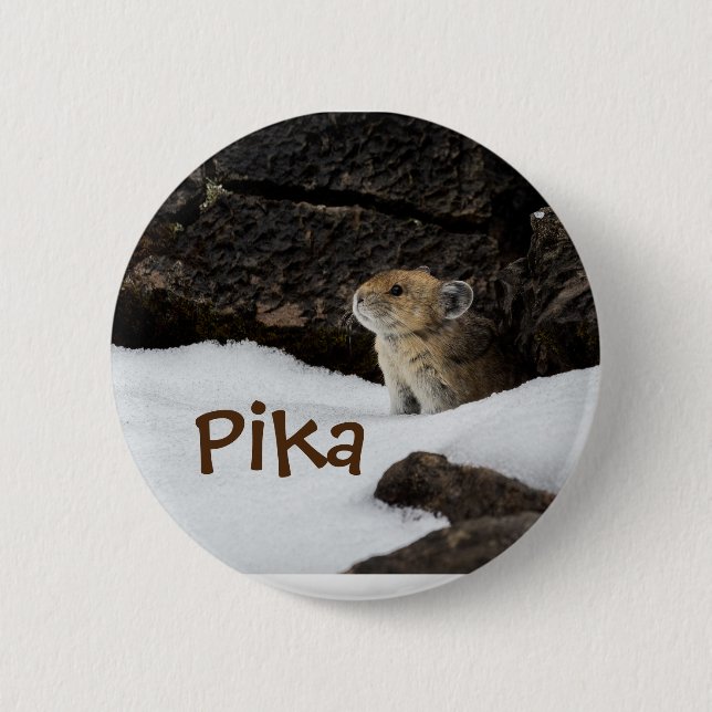 Cute Pika in the Snow Photo 6 Cm Round Badge (Front)