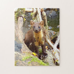 Cute Pine Marten on Log Woodland Wildlife Jigsaw Puzzle
