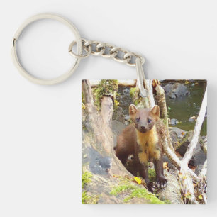 Cute Pine Marten Wildlife Forest Animal Resting Key Ring