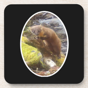 Cute Pine Marten Woodland Forest Wildlife Resting Coaster