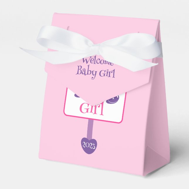 Cute Pink and Purple Baby Girl Shower Signpost Favour Box (Front Side)