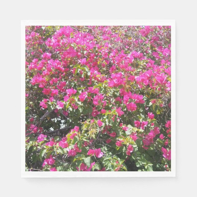 Cute Pink Bougainvillea Bush Print Paper Napkins (Front)