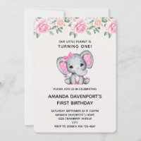 Cute Pink Elephant and Roses Border Birthday Invit