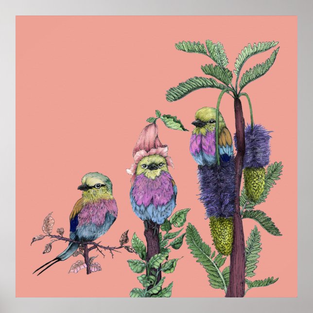 Cute Pink Lilac Breasted Roller African Bird Poster (Front)