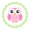 Cute pink owl cartoon inside green border