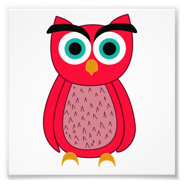 Cute Pink Owl Photo Print (Front)