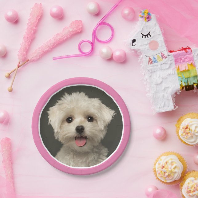 Cute Pink Pet Photo Birthday Paper Plates (Party)
