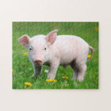 Cute Pink Piglet and Dandelion Flowers
