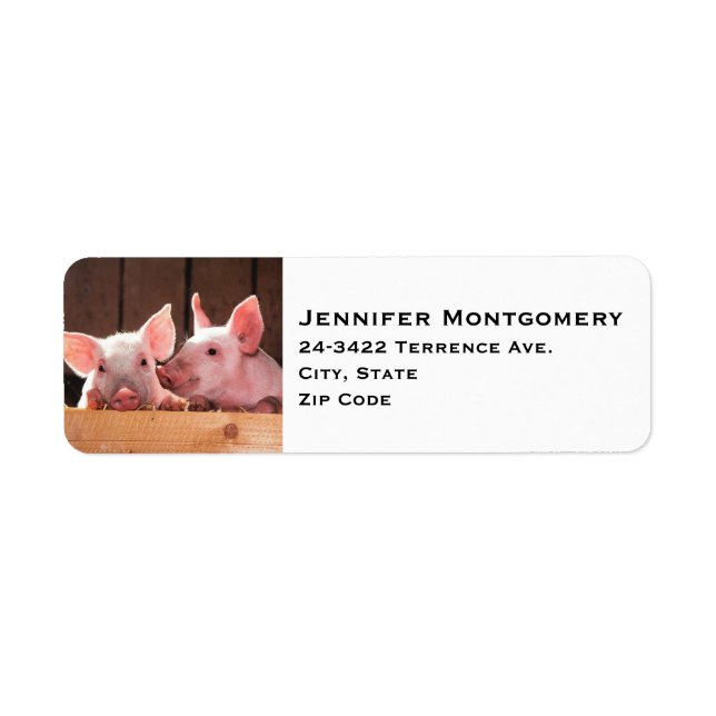 Cute Pink Piglets Animal Photograph (Front)