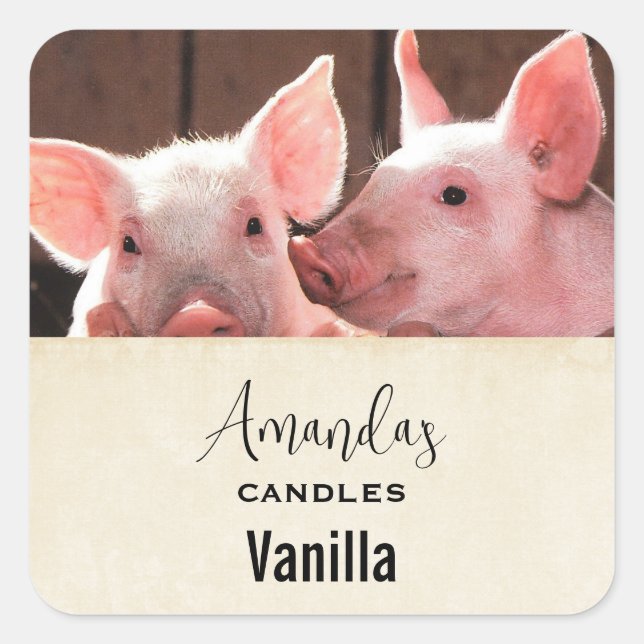 Cute Pink Piglets Animal Photograph Candle Craft Square Sticker (Front)