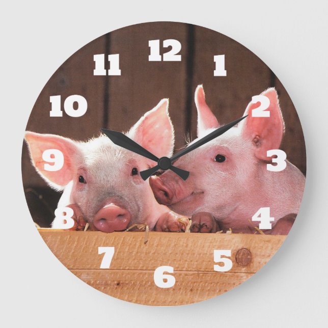 Cute Pink Piglets Animal Photograph Large Clock (Front)