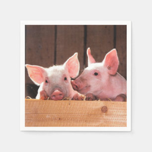 Cute Pink Piglets Animal Photograph Napkin