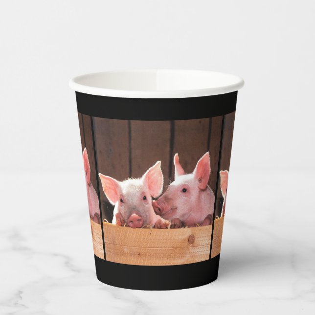 Cute Pink Piglets Animal Photograph Paper Cups (Left)