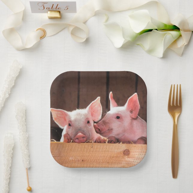 Cute Pink Piglets Animal Photograph Paper Plate (Wedding)