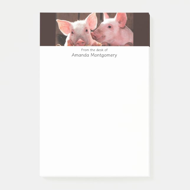 Cute Pink Piglets Animal Photograph Post-it Notes (Front)