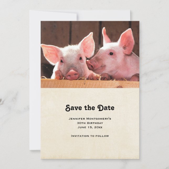  Cute Pink Piglets Animal Photograph Save The Date (Front)
